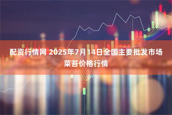 配资行情网 2025年7月14日全国主要批发市场菜苔价格行情